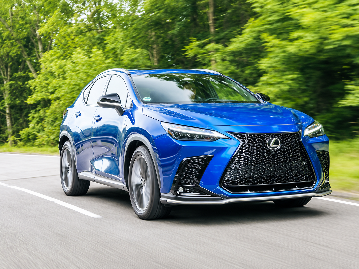 What Sets the Lexus NX Apart: a Loyal Choice