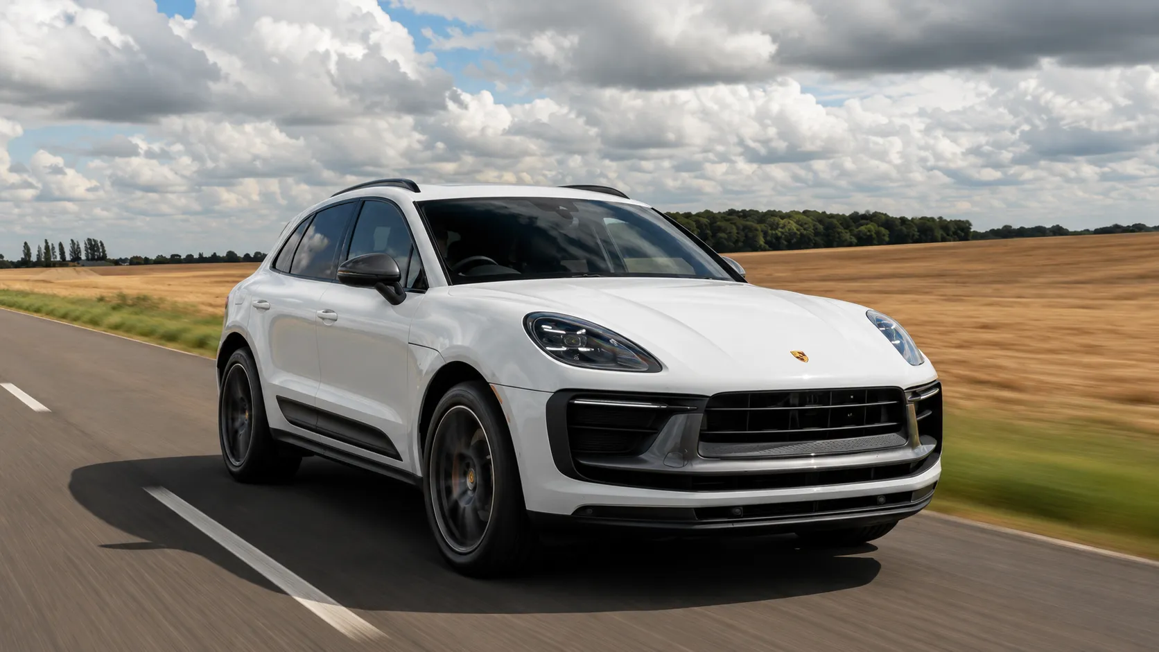 Macan2