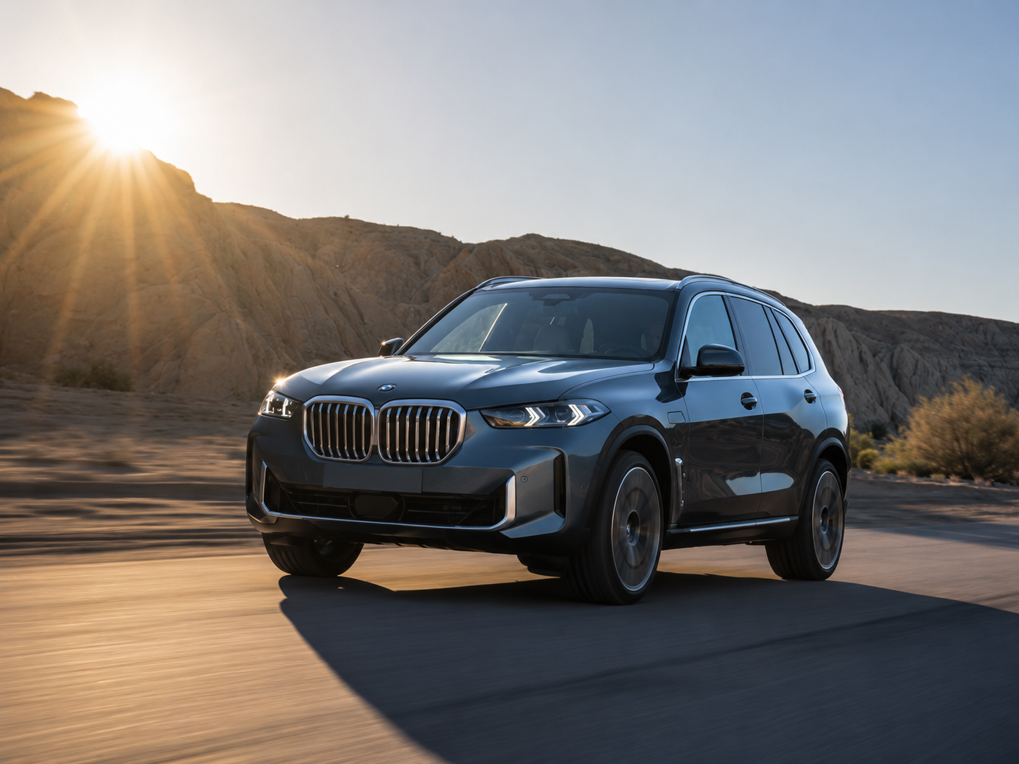 Who Should Hire a BMW