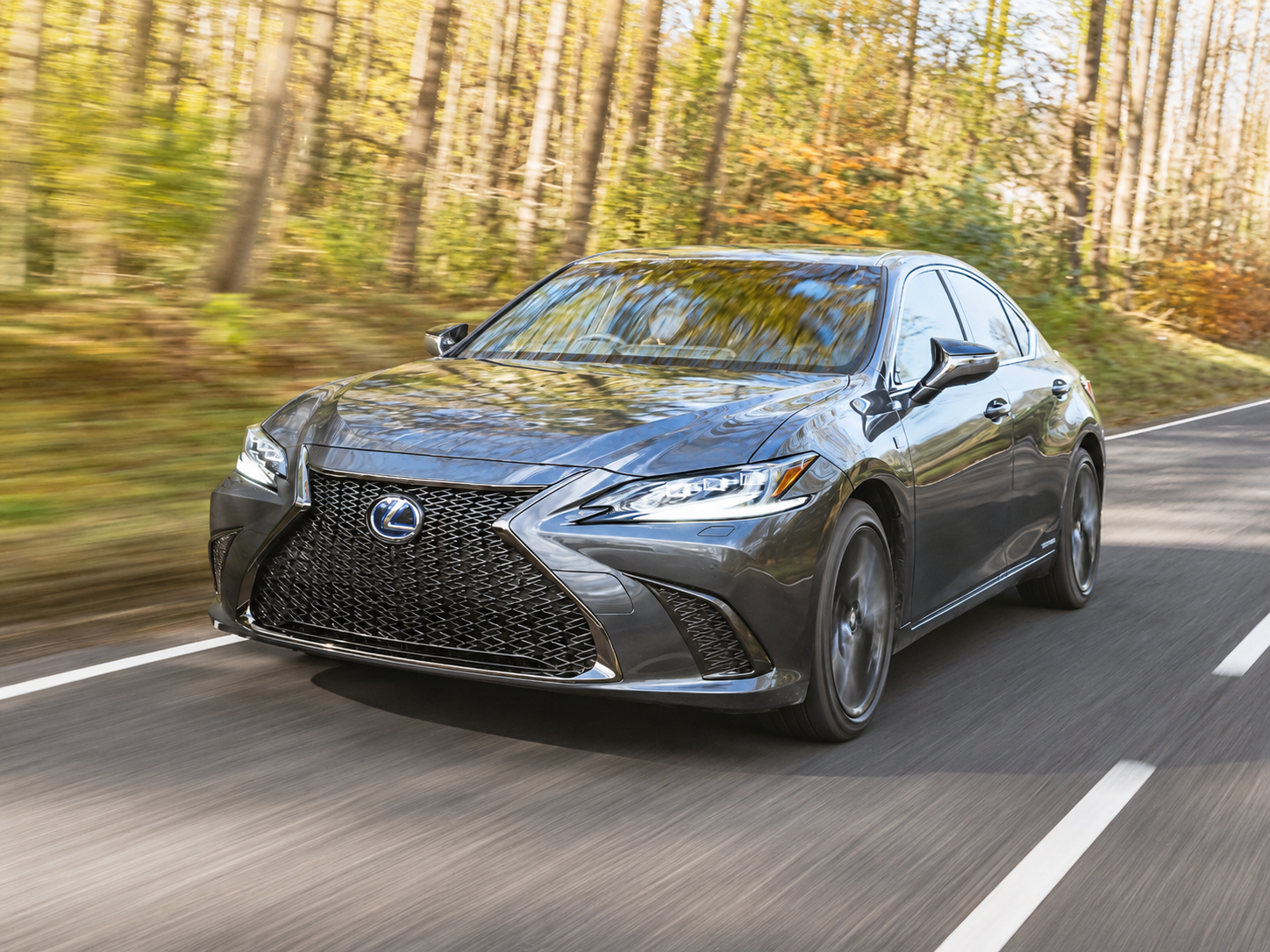 The Lexus ES Choice: Loyal and Ready to Go