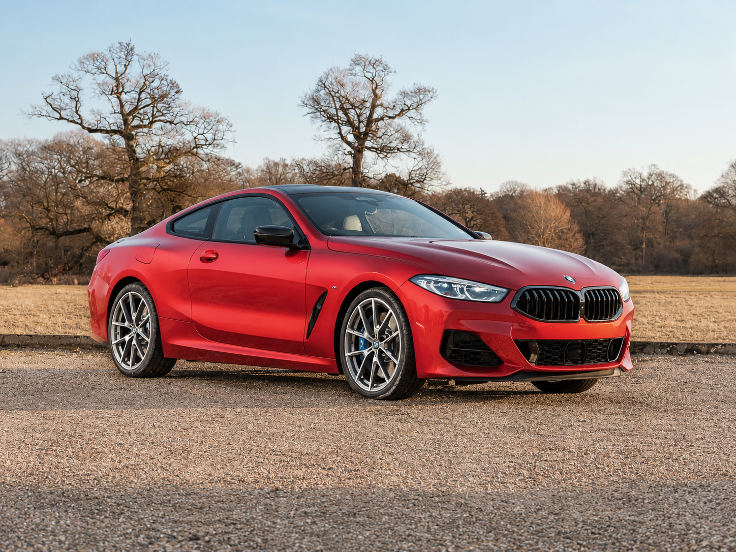 The BMW 8 Series Value: Sound and Ready to Go