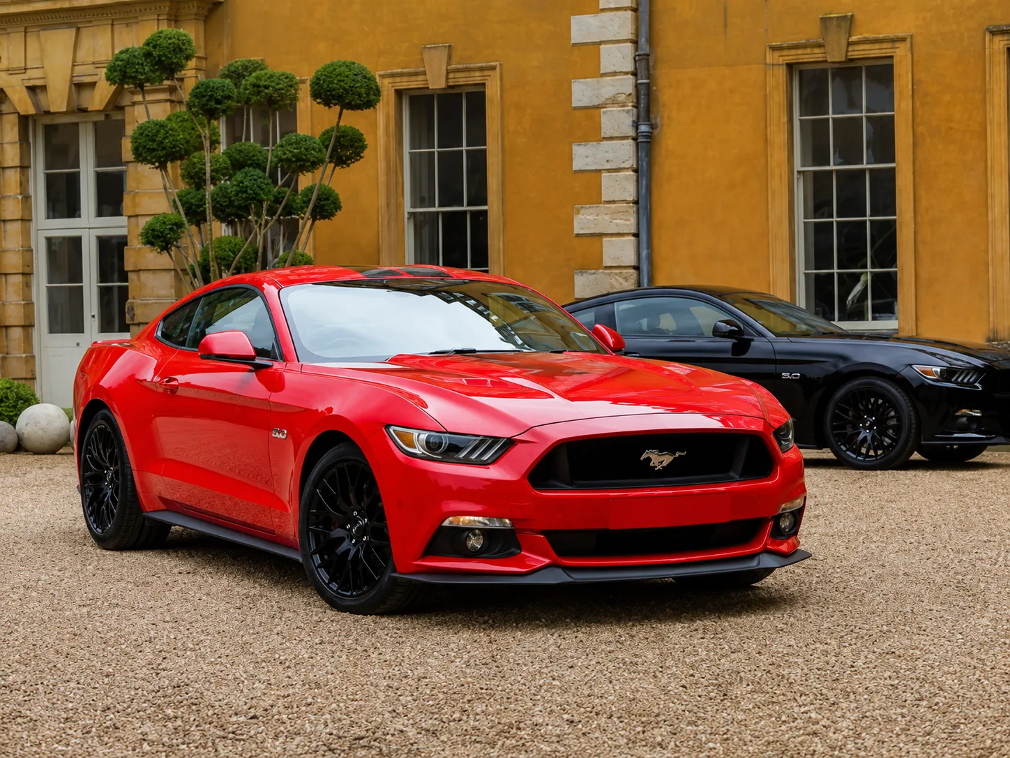 Mustanggt2