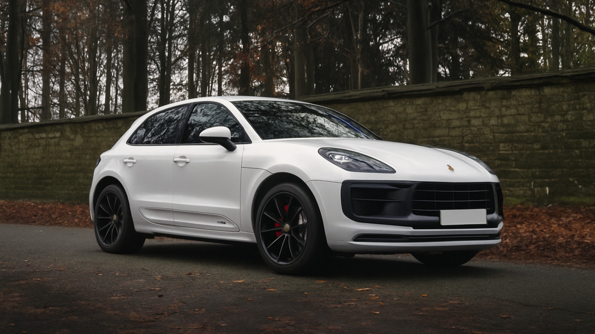 Porsche Porsche macan GTS