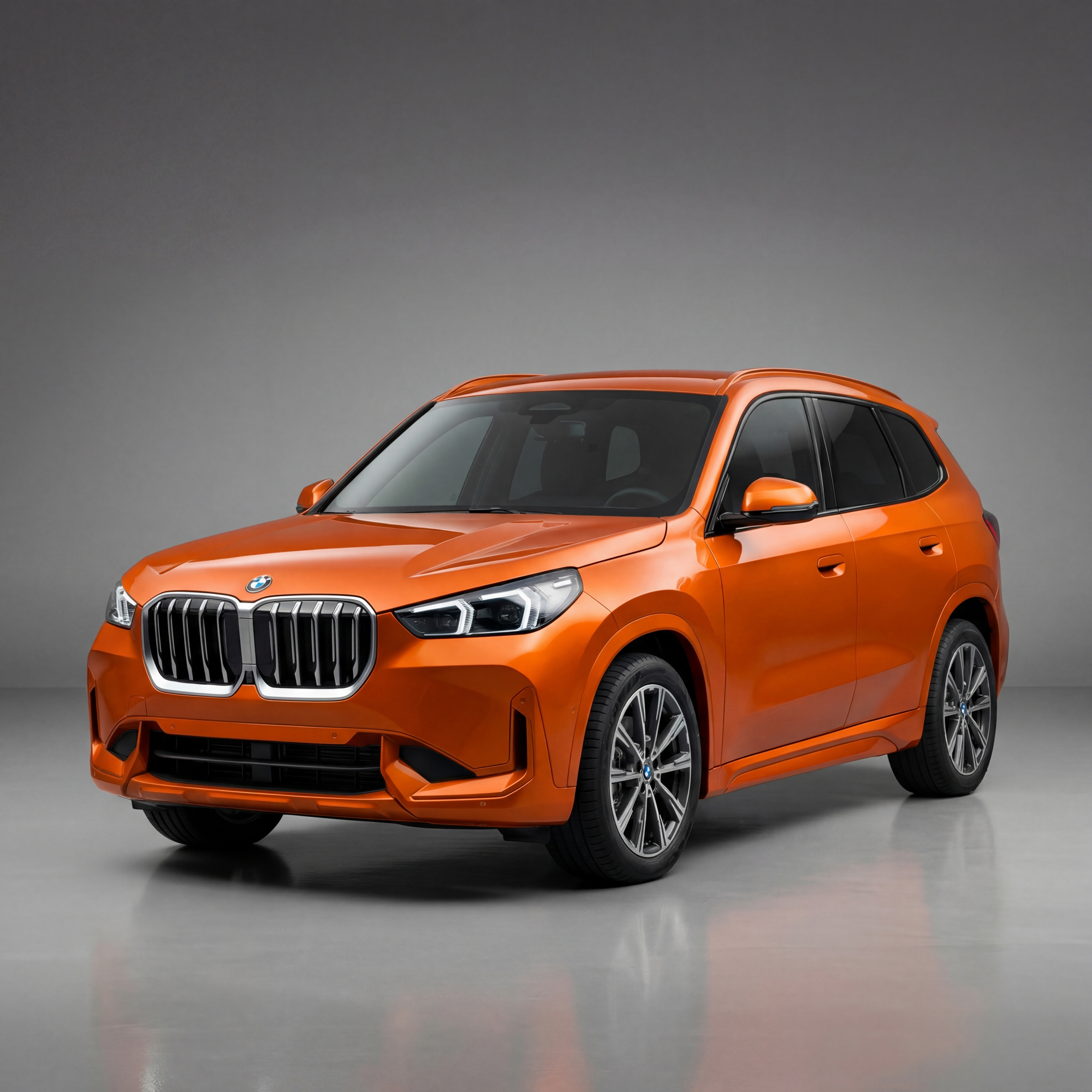Bmw X1 Left