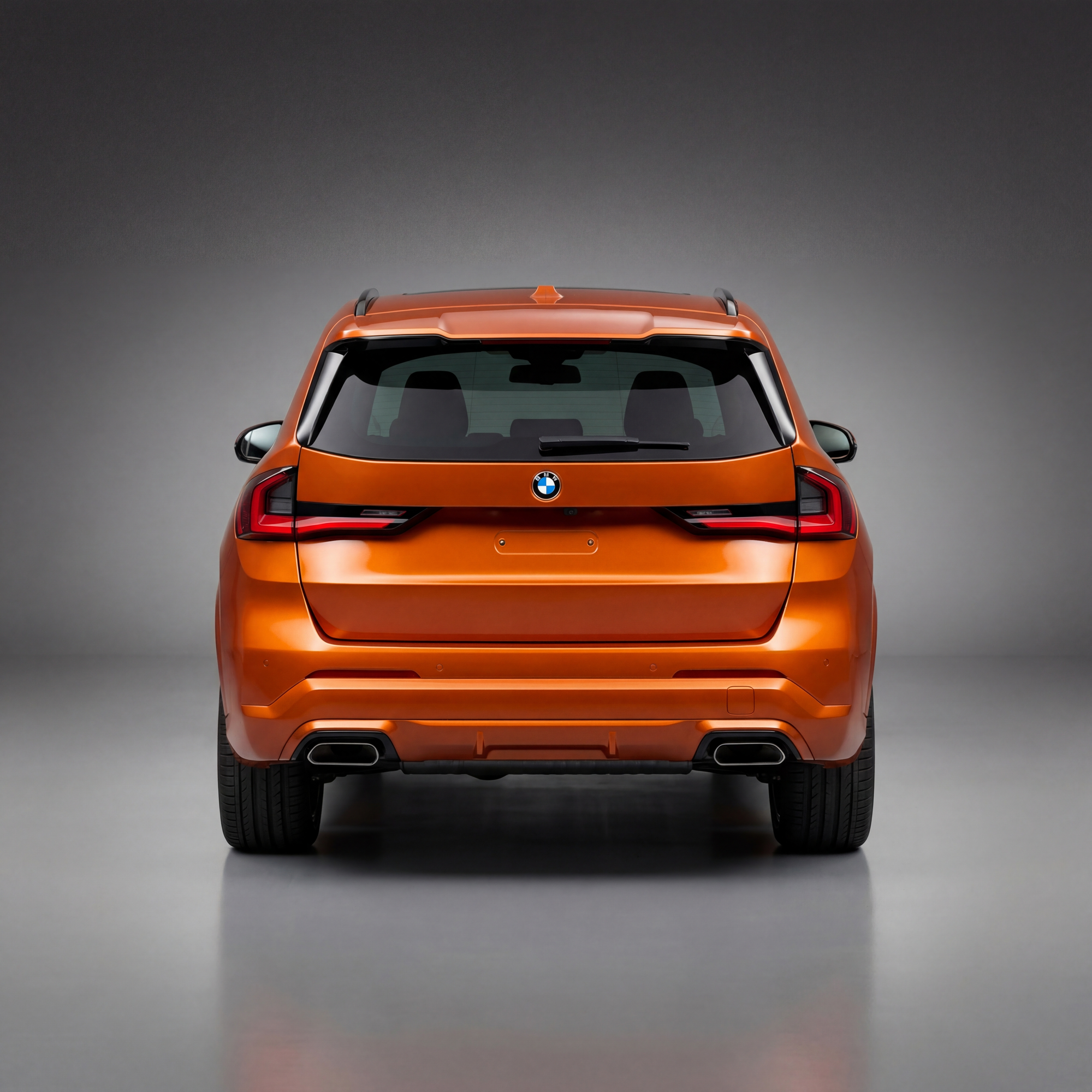 Bmw X1 Back