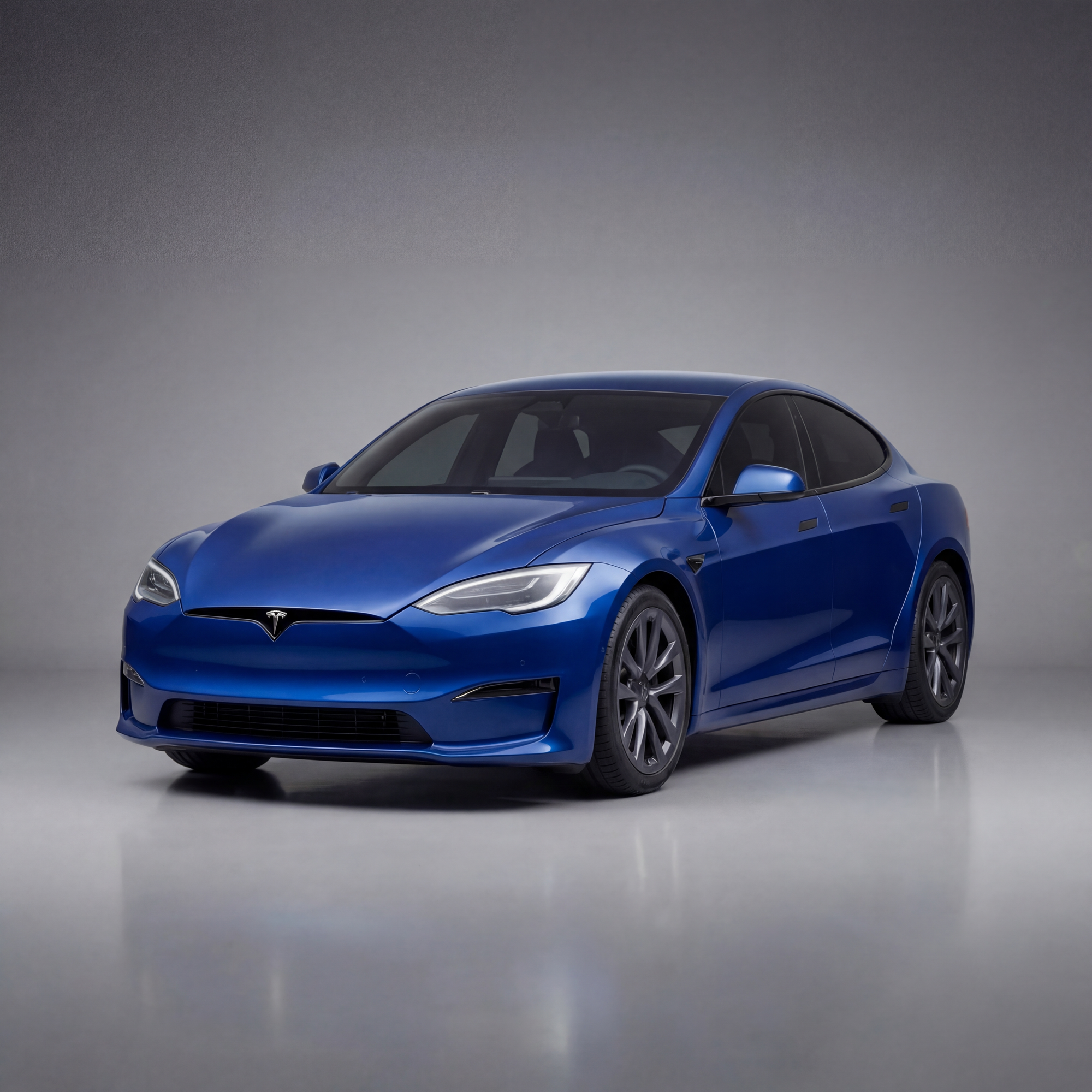 Not Just the Tesla Model S: the Tesla Fleet, Bigger