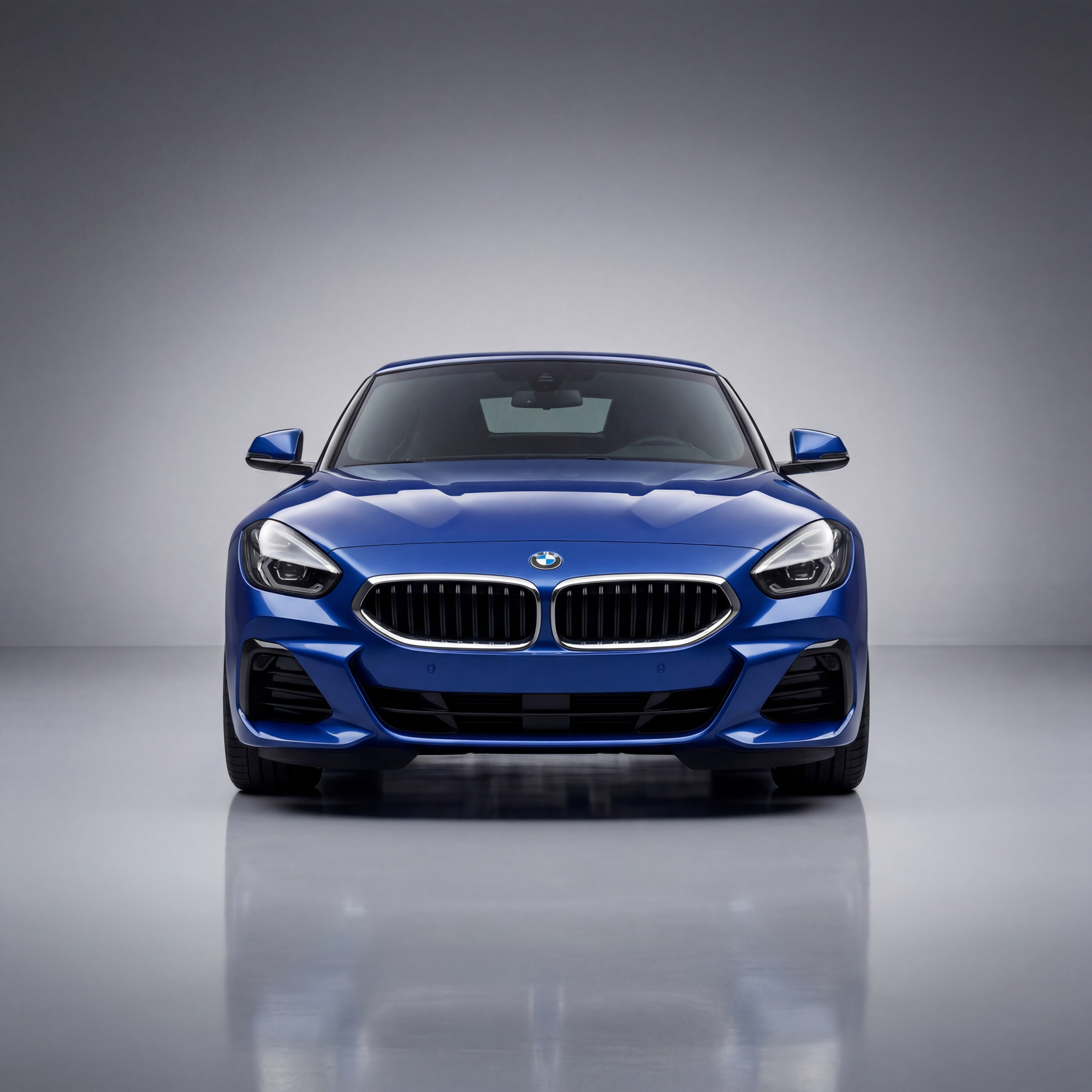 Bmw Z4 Front