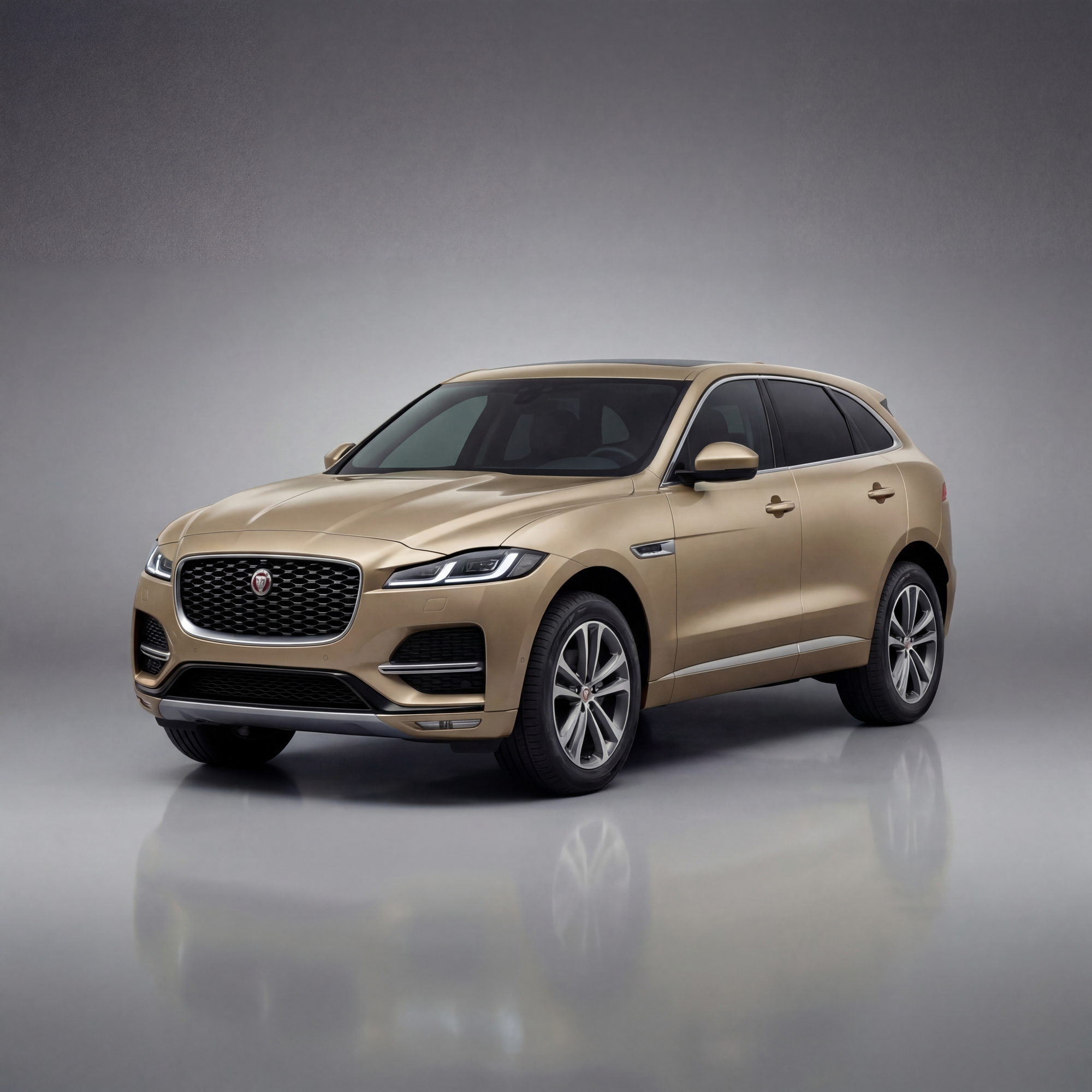 Wider Jaguar Lineup Still to Explore