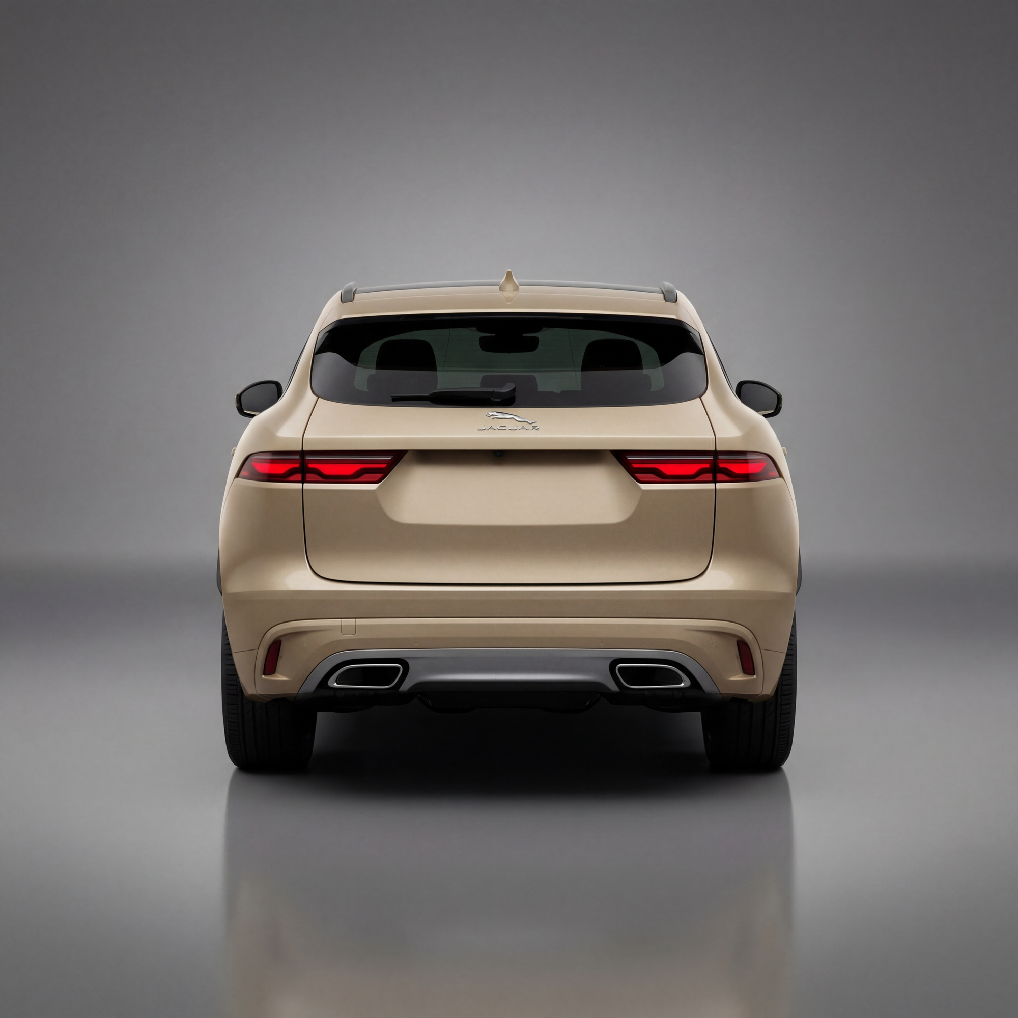 Jaguar F Pace Back