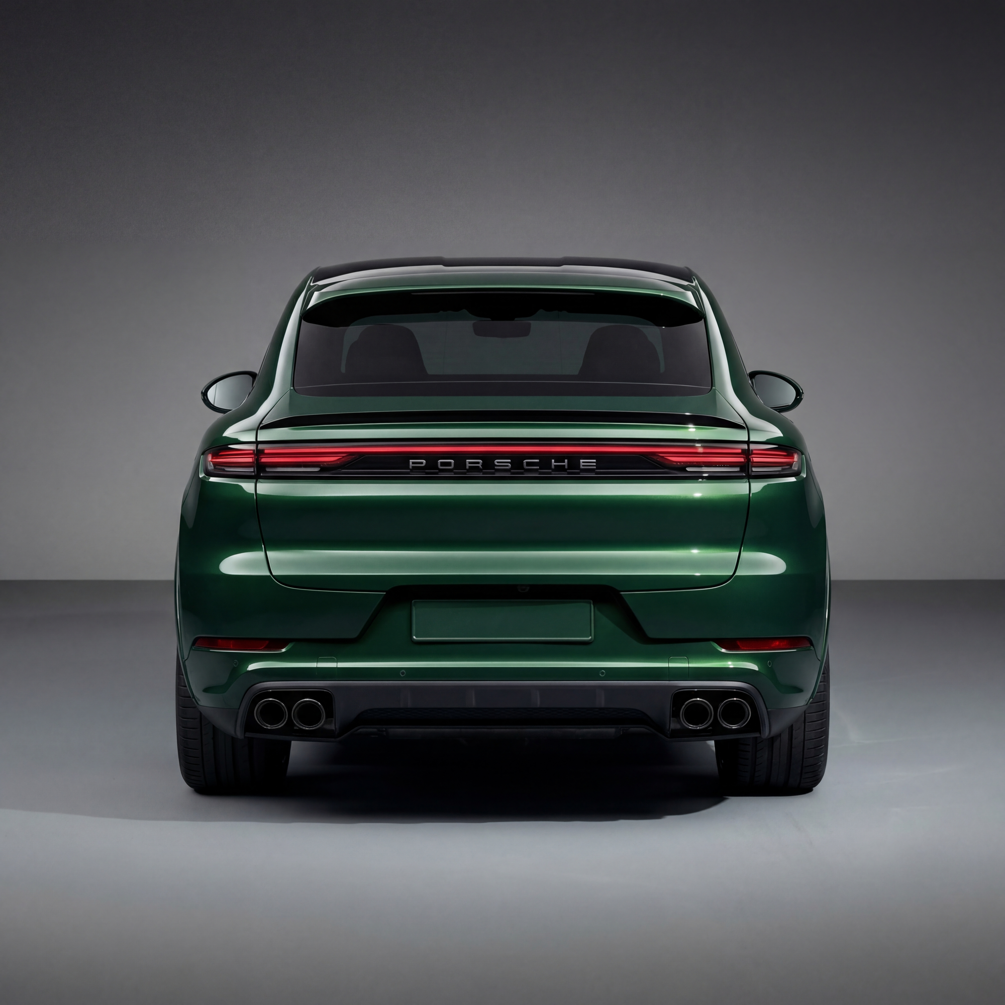 Porsche Cayenneturbogt Back