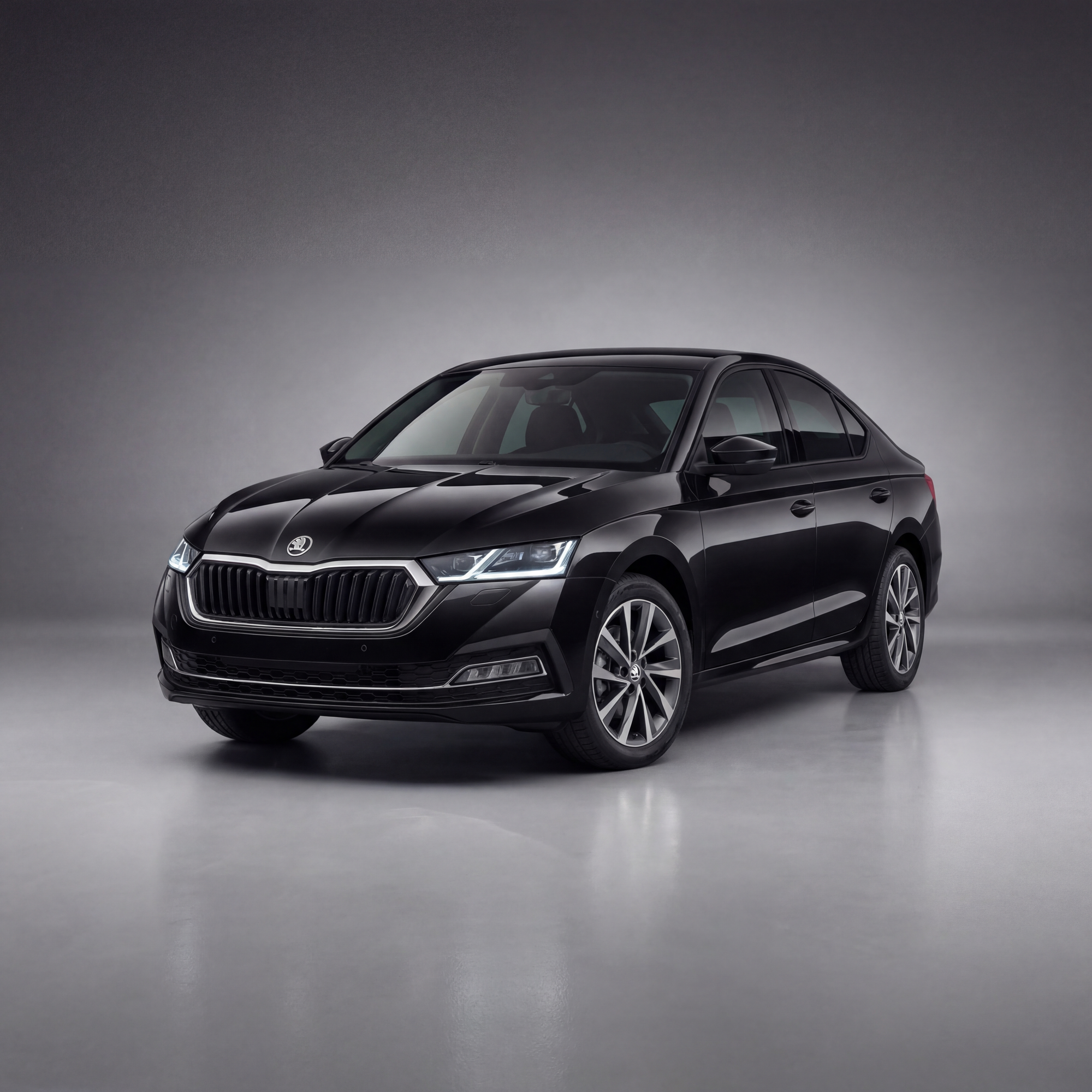 Other Broader Skoda Fleet Worth a Look