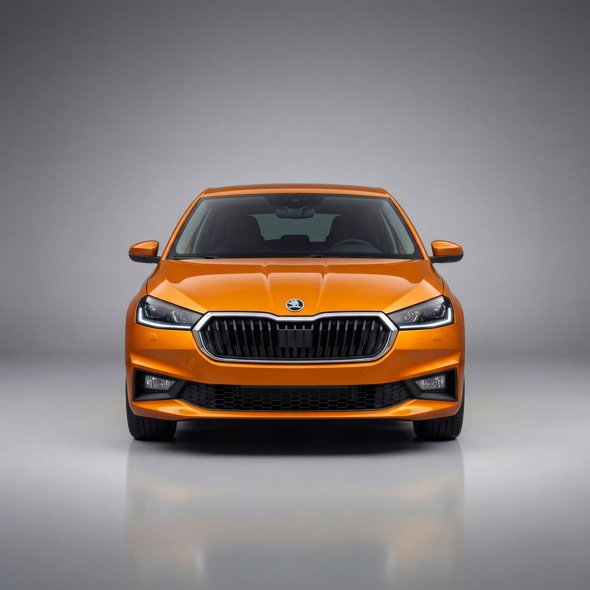 Skoda Fabia Front