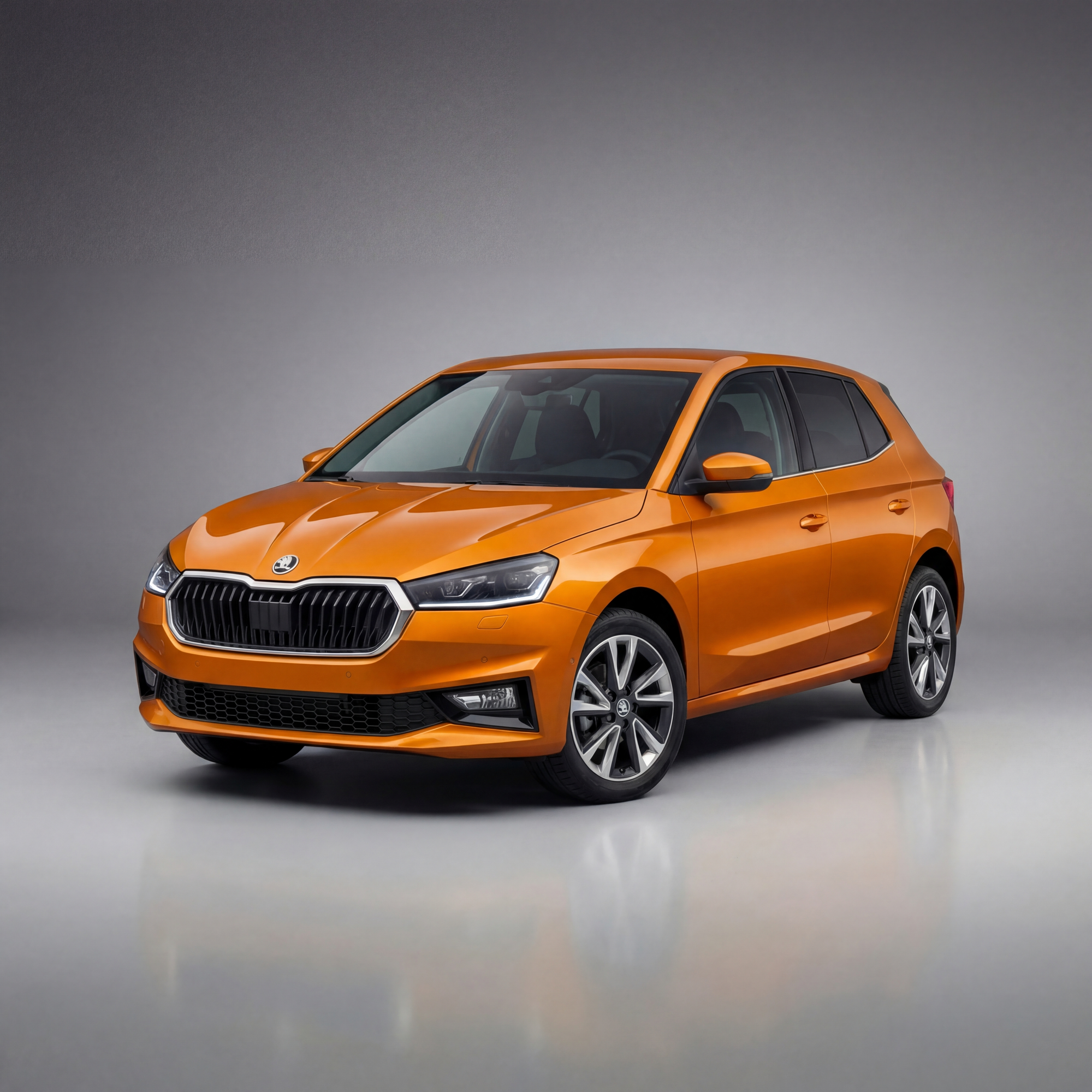Beyond the Skoda Fabia: the Broader Skoda Fleet