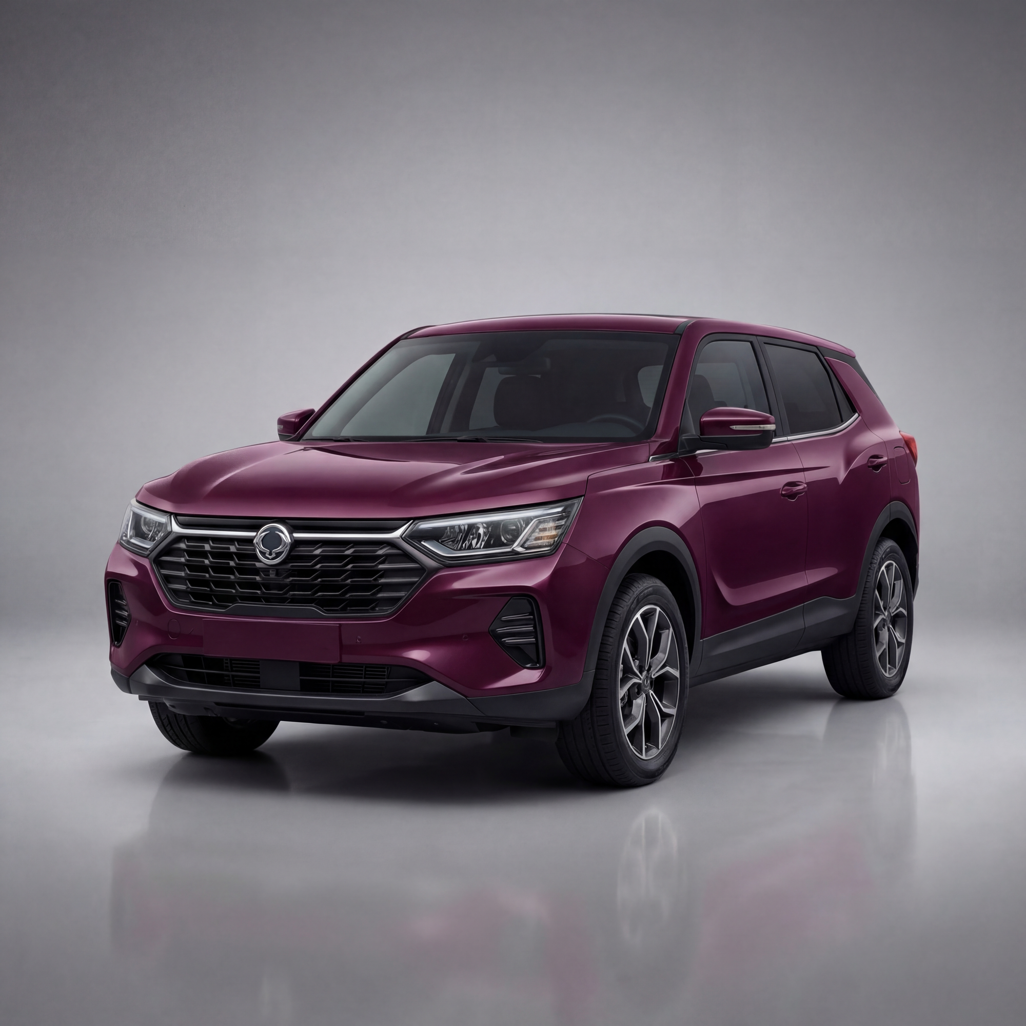 Deeper SsangYong Fleet, Beyond the SsangYong Korando