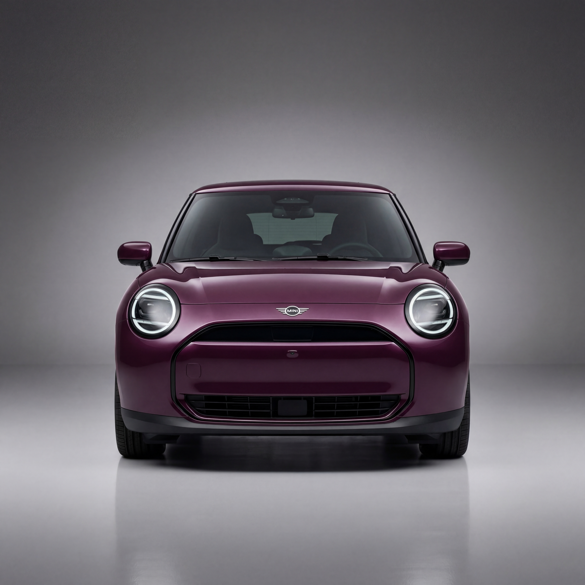 Mini Electric Front