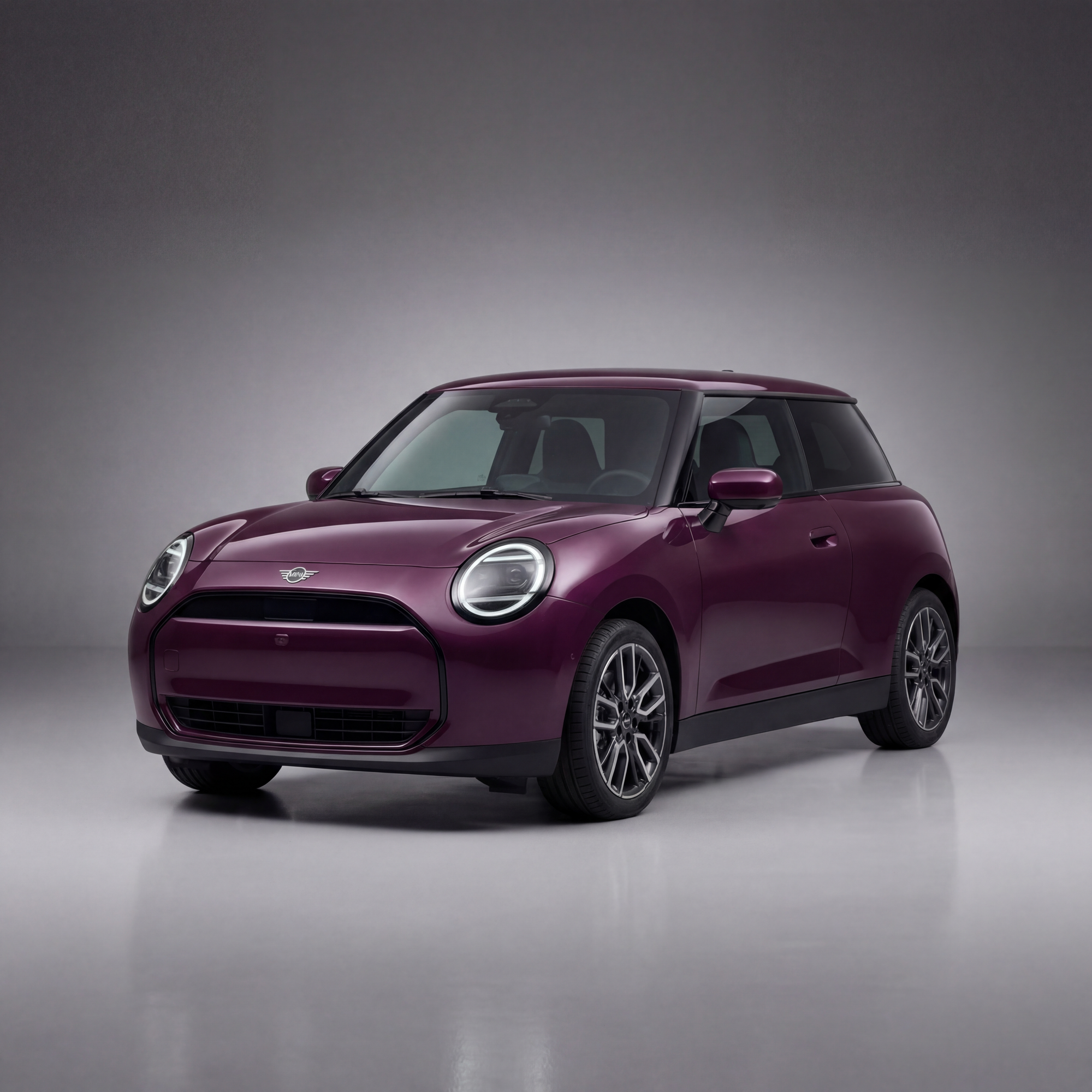 Mini Electric Left