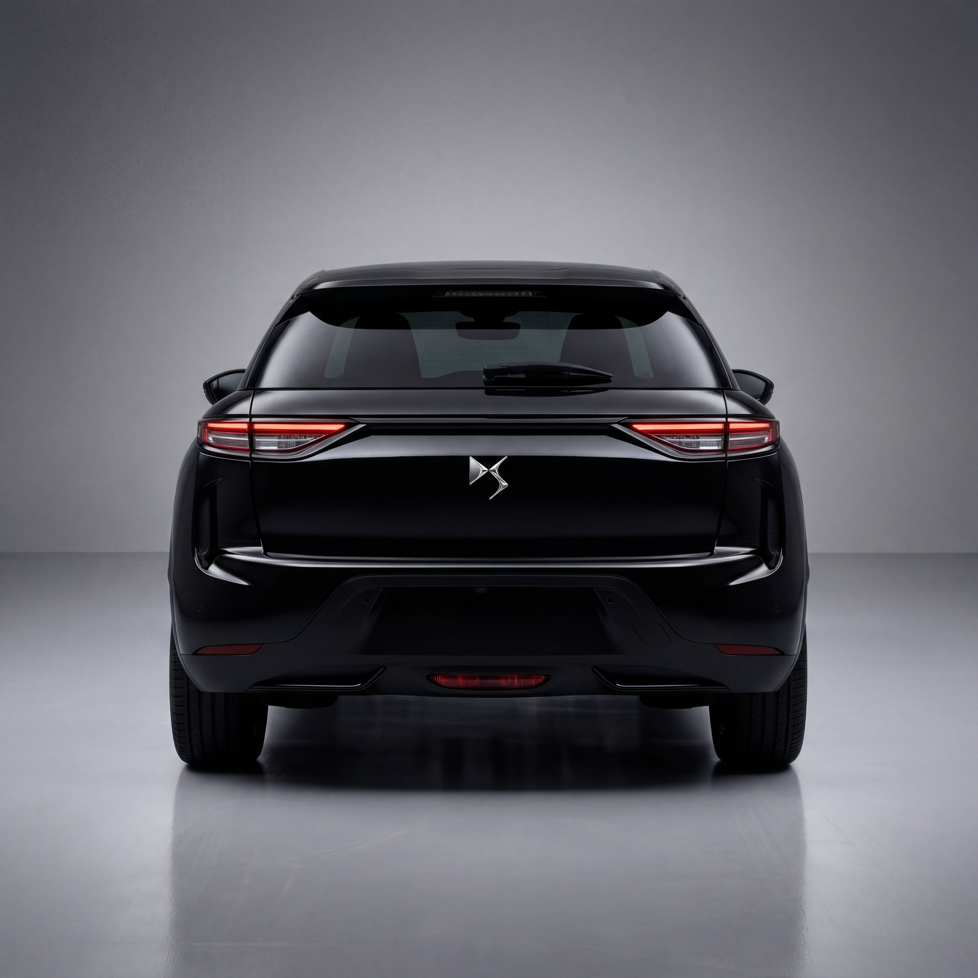 Matching the DS 3 to Your Popular Uses
