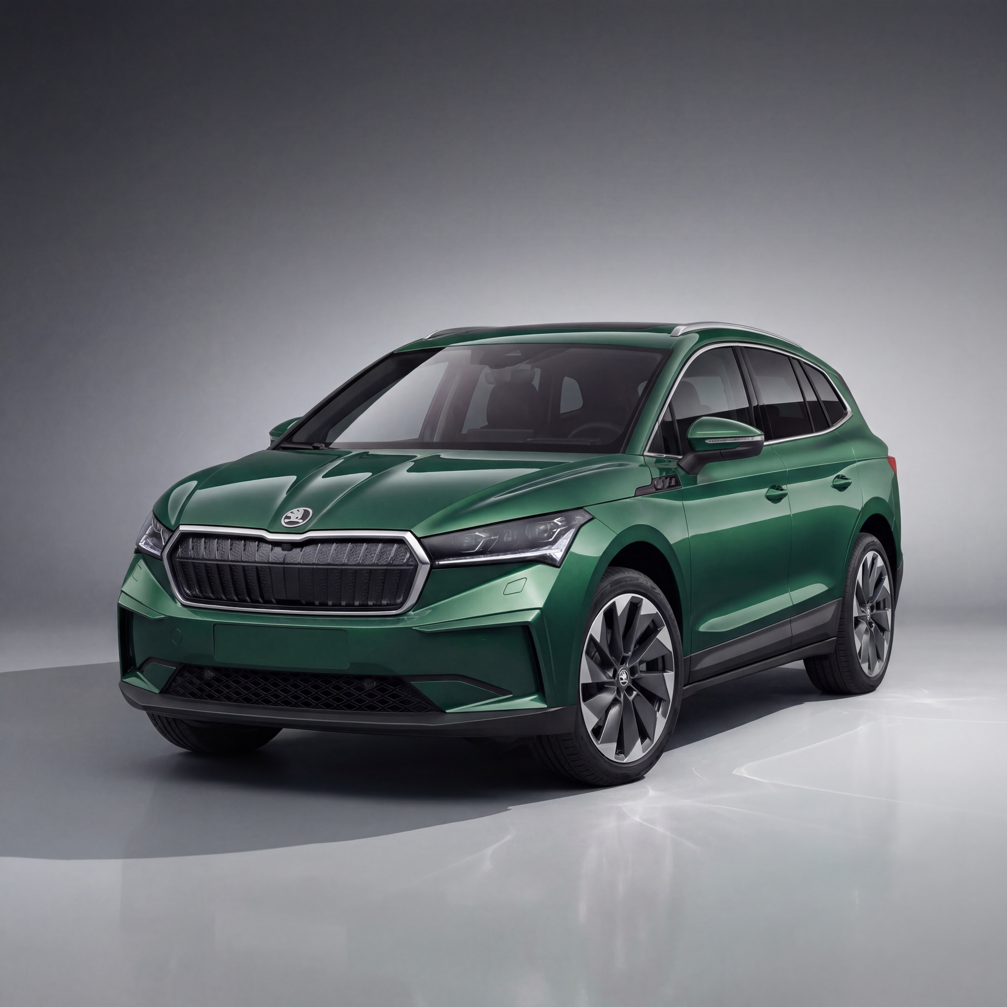 Broader Selections Across the Skoda Fleet