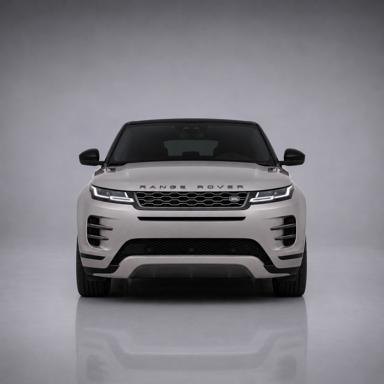 Evoque1