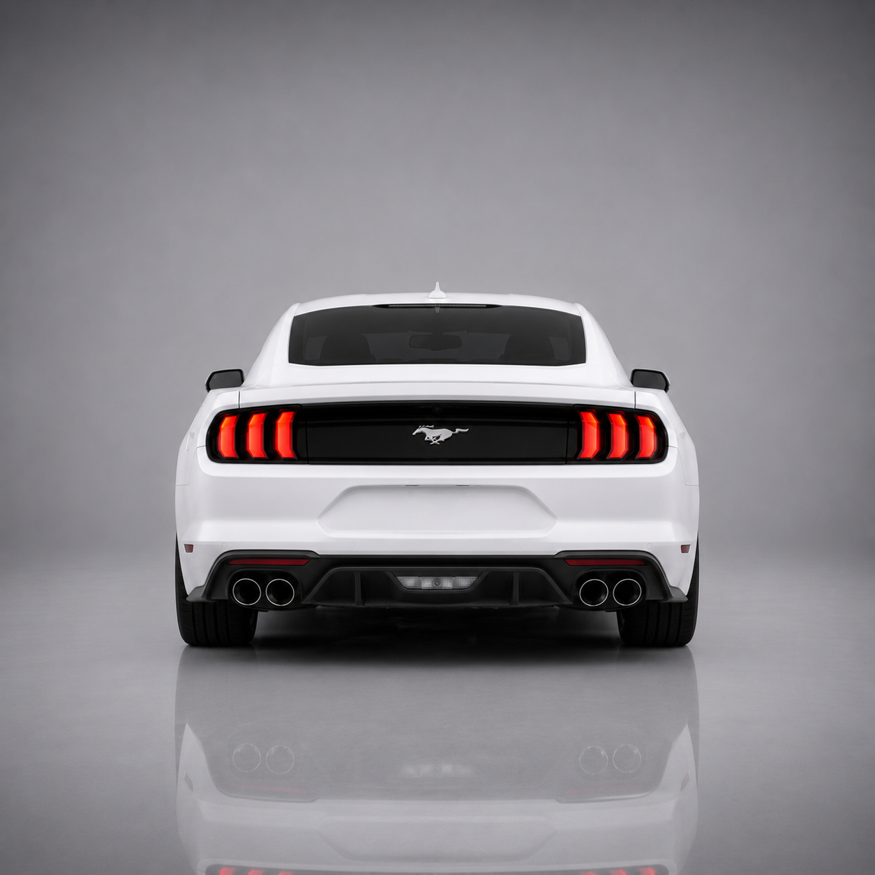 Mustang Back