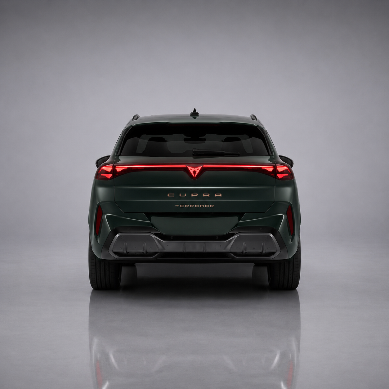 CUPRA Terramar Hire: Right for These Typical Uses