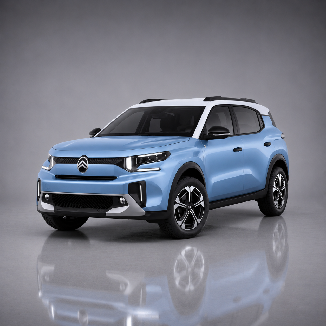 Growing Citroen Range Still to Explore