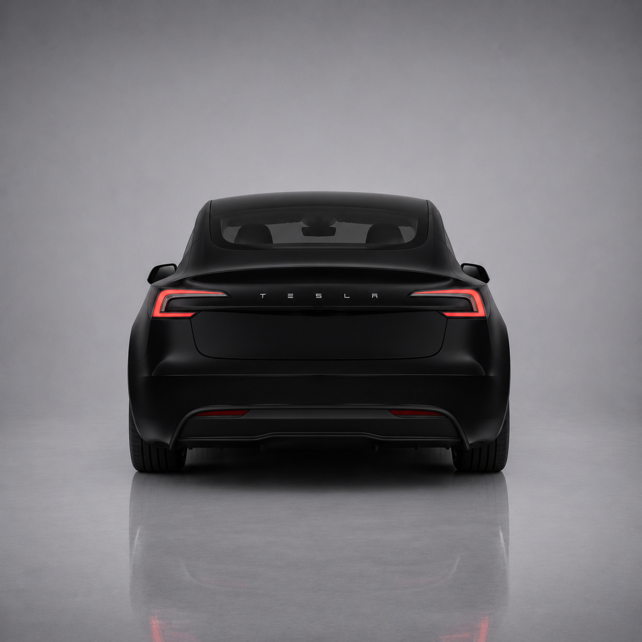 Model3 Back