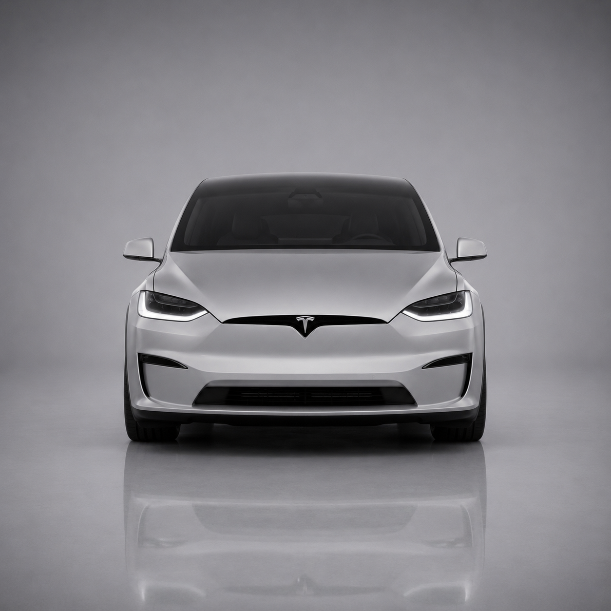 Modelx Front