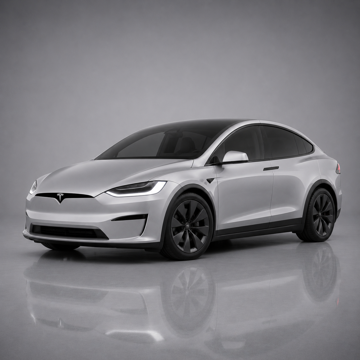 Modelx Side