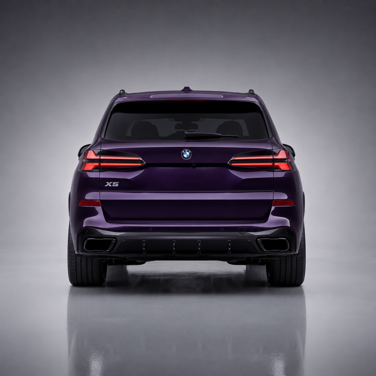 X5 Back