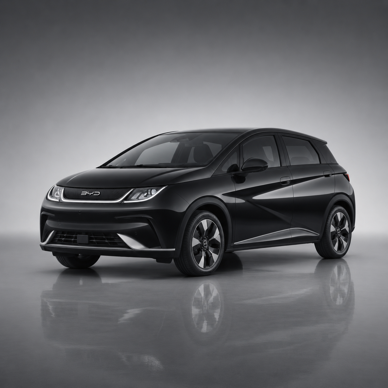 The BYD Range, Whole and Ready