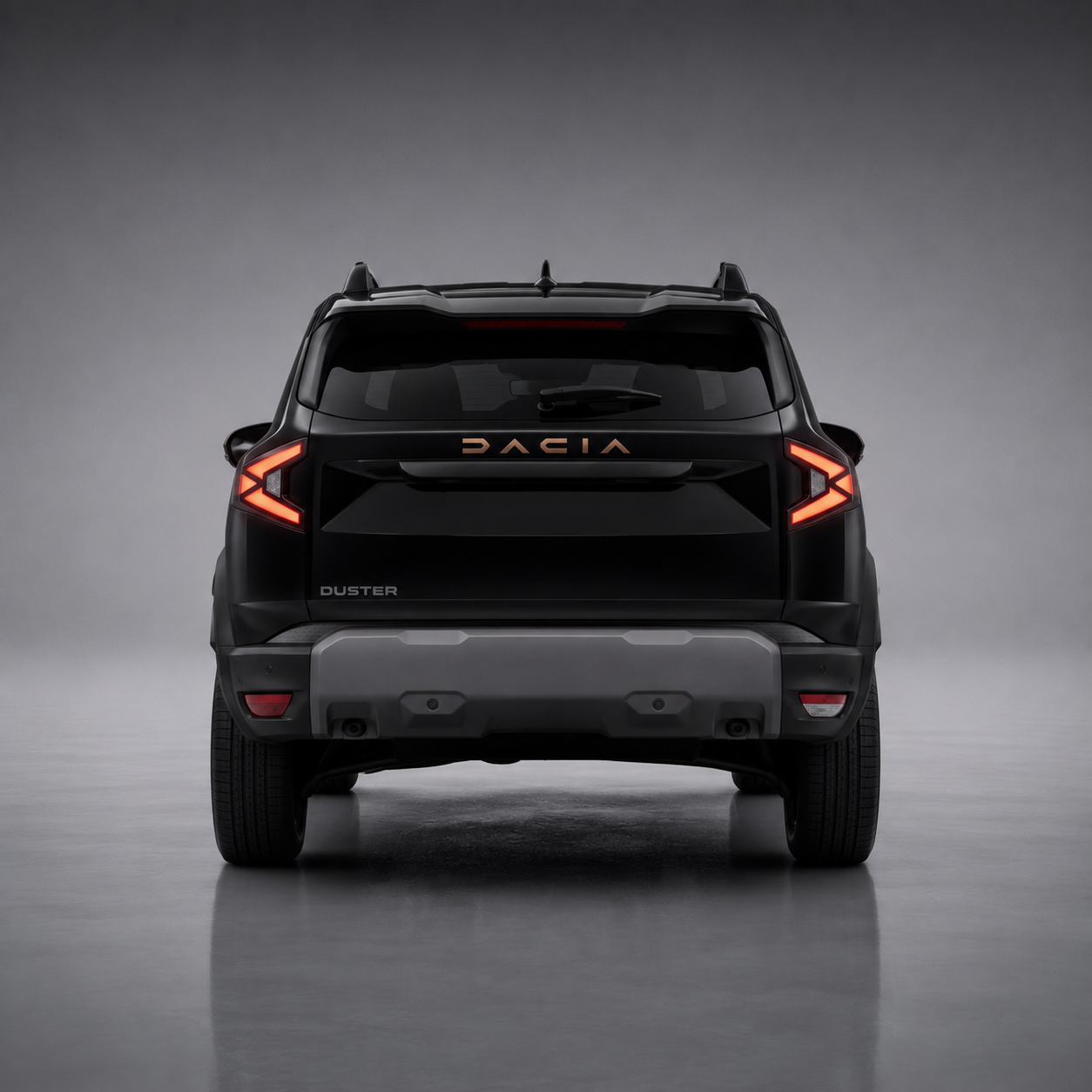 Who Should Book the Dacia Duster? Sensible Uses