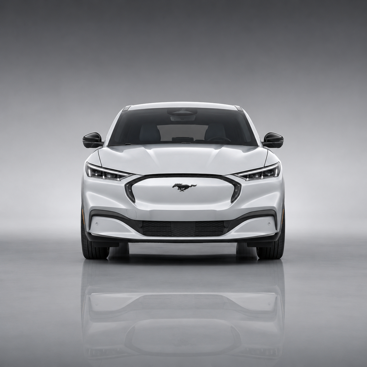 Mustang Mache Front