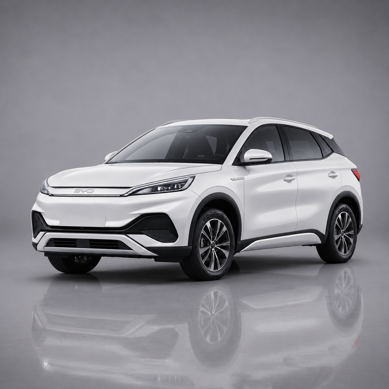 BYD Has Whole Range to Offer