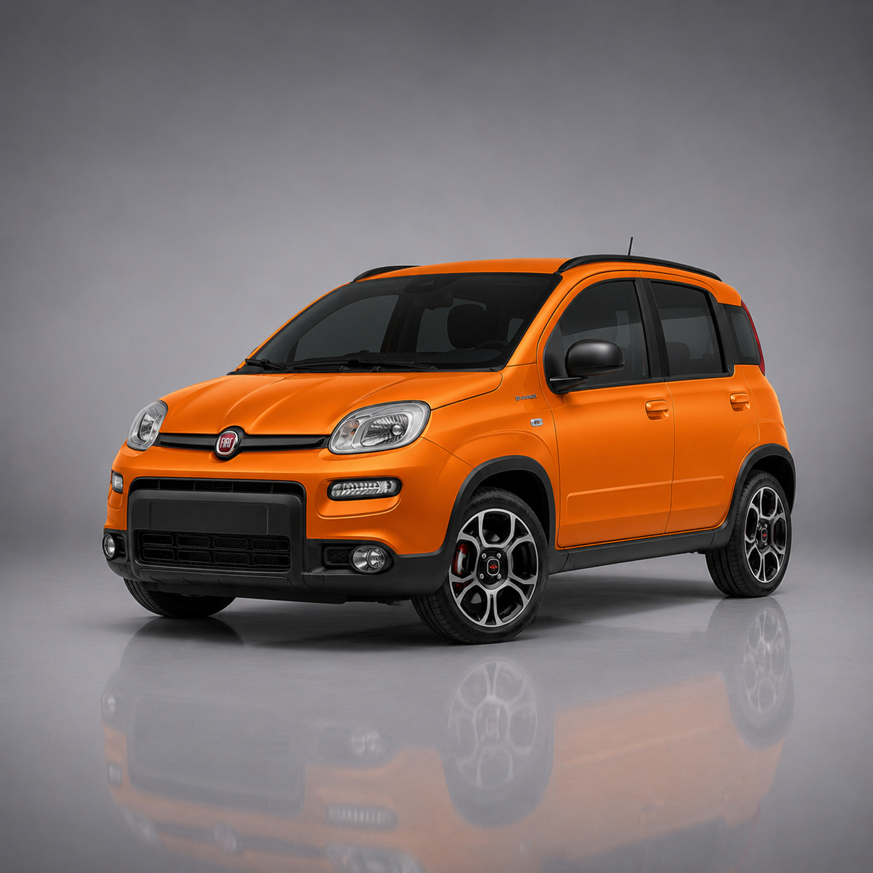 Not Just the Fiat Panda: the Fiat Range, Extra