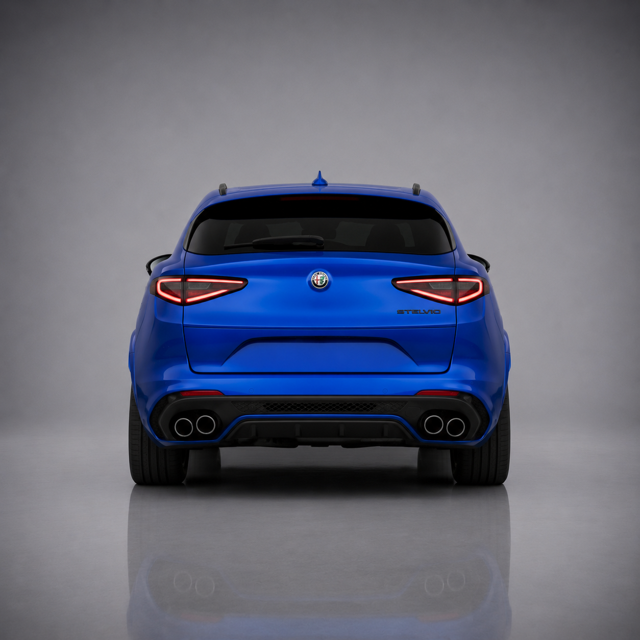 Stelvio Back