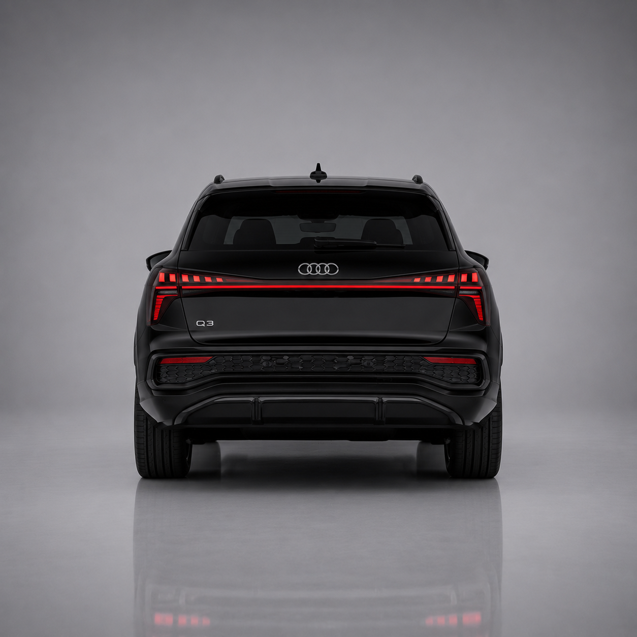 Q3 Back